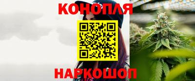 мяу мяу мука Беслан
