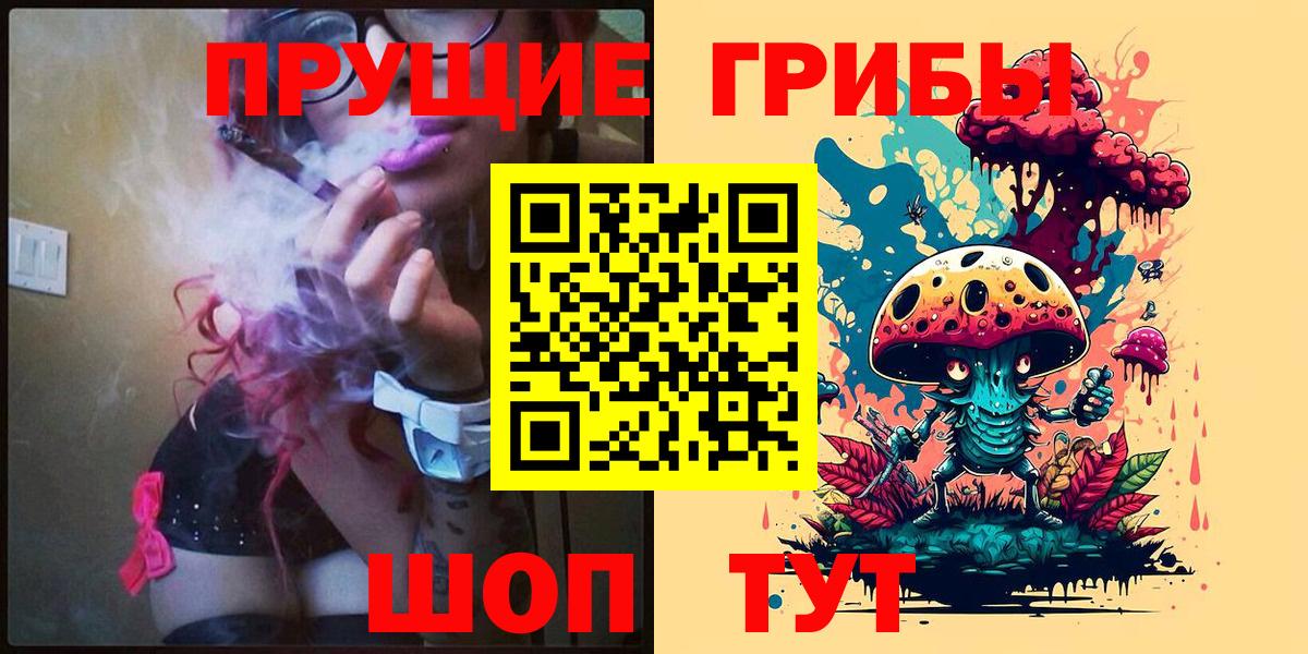 Кингисепп  где купить наркоту  Вход с VPN  Псилоцибиновые грибы MAGIC MUSHROOMS  Галлюциногенные грибы MAGIC MUSHROOMS 