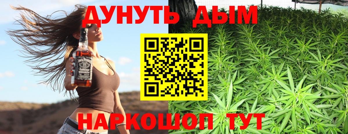Шишки марихуана планчик Кингисепп